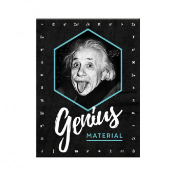 Magnet "Einstein - Genius", 6 x 8 cm