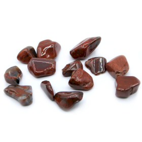 Piatra Mare Neteda - Lemn Pietrificat (1 bucata)